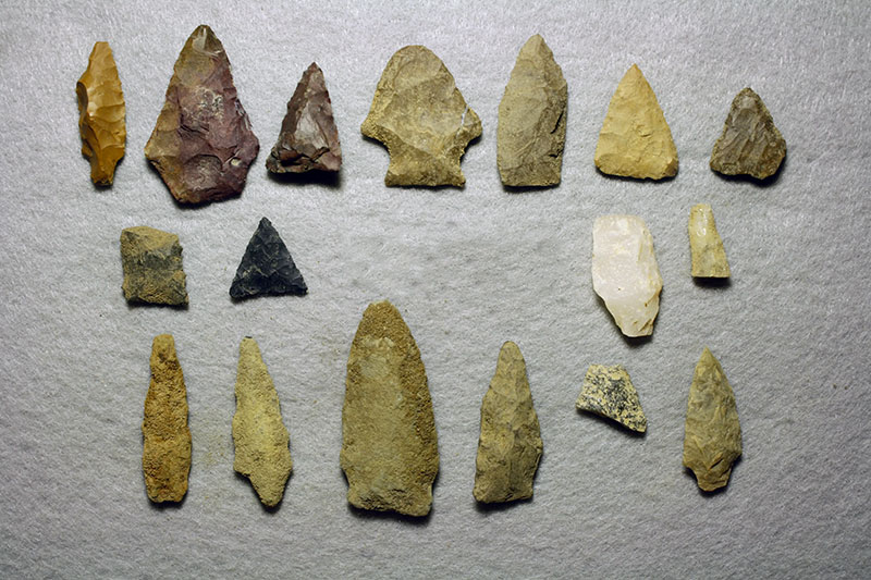 A sample of arrowheads uncovered in Camden County